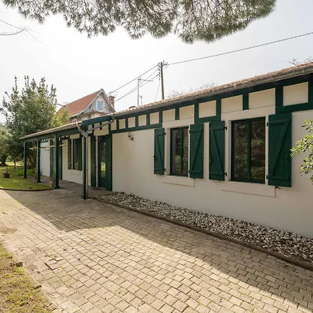 Hotel Maison Arcachon, 3 Pieces, 4 Personnes - Fr-1-319-539 Arcachon