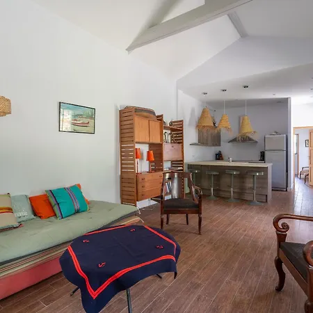 Hotel Maison Arcachon, 3 Pieces, 4 Personnes - Fr-1-319-539